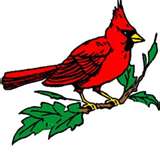 Cardinal_Logo_html_mc6800d7.jpg